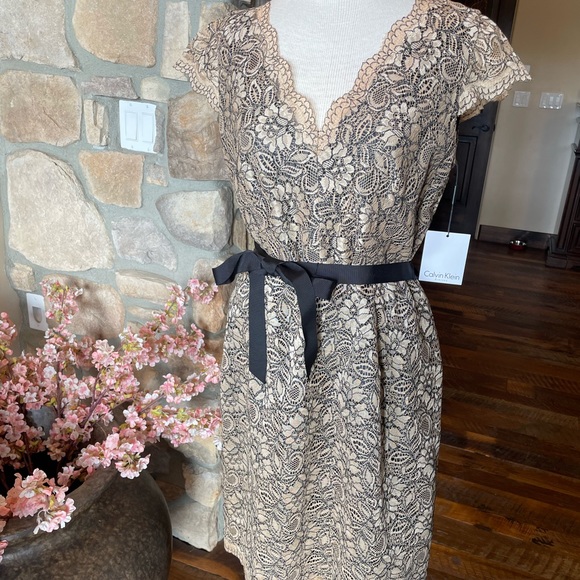 COPY - NEW with tags. Calvin Klein lace dress with black lining, back slit. Siz… - Picture 1 of 8